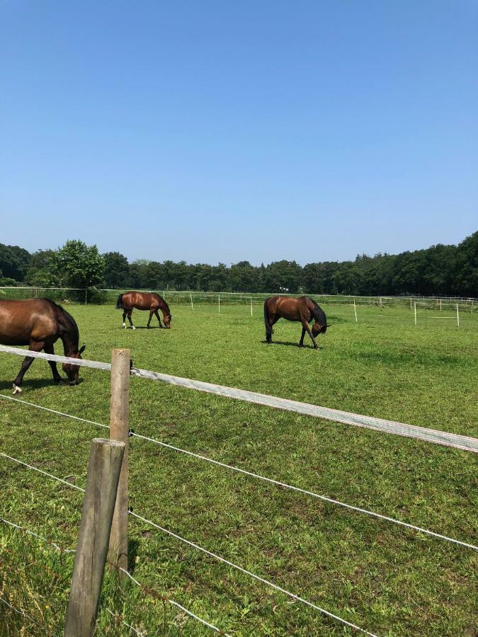 Willa Hof Ter Sysen Loppem Zewnętrze zdjęcie
